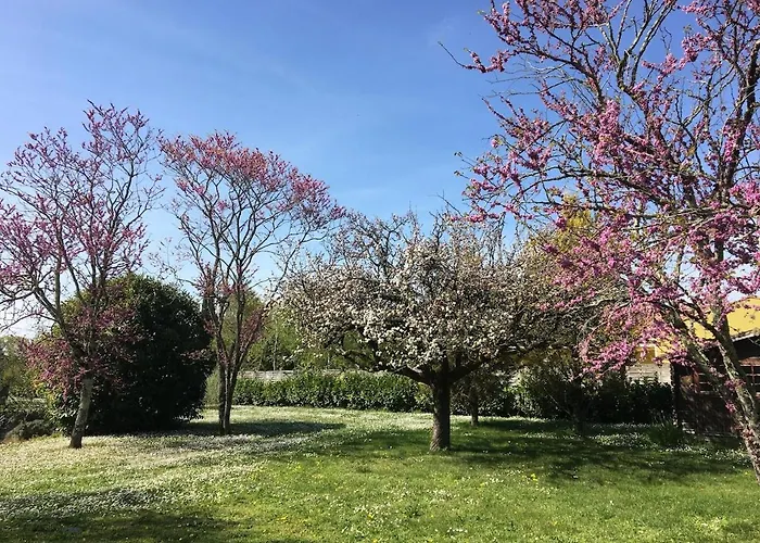 House For 13 People, Heated Pool, Bocce Court
