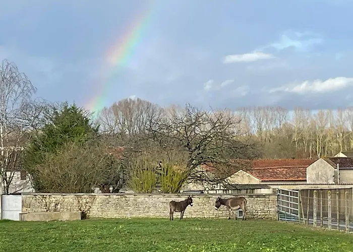 House For 13 People, Heated Pool, Bocce Court